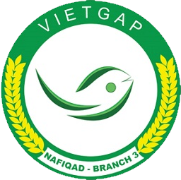 vietgap